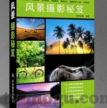 成人av在线麻豆-成人影视与现实之间，麻豆现象的多元视角解构