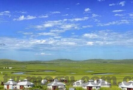 成人麻豆av-爱与道德，成人内容与麻豆AV带来的社会反思