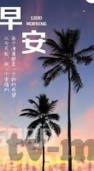 成人自拍性视频-成人自拍性视频，理解、影响与应对