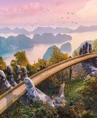 精品国产1000部91麻豆-精品国产，忍冬之梦——从1000部记事看麻豆的魅力与变迁