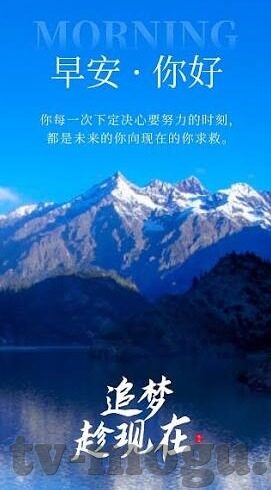 麻豆传媒封面-麻豆传媒封面，现代数字影像传播的视觉艺术解读