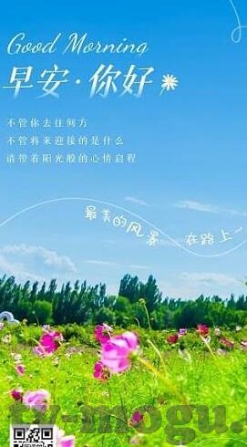 麻豆视频 一区-色情内容受法律与道德约束，拒绝创作与传播