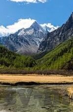人妻护士刘志勤-平凡岗位上的不凡光芒——记人妻护士刘志勤的温暖故事