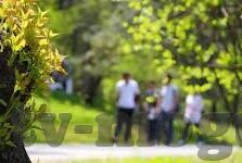 人妻乱-人妻的内心世界，在传统与自我之间的微妙平衡