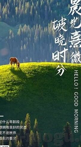 丝袜伦理片-丝袜与伦理的微妙交织，时尚、文化与道德的边界探讨