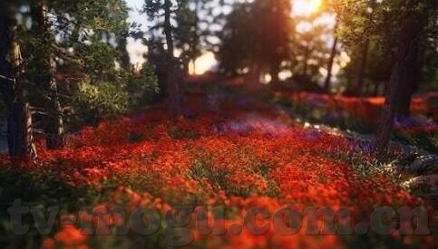糖心vlog破解版云盘-进入数字新领地，重新审视糖心Vlog 云盘现象